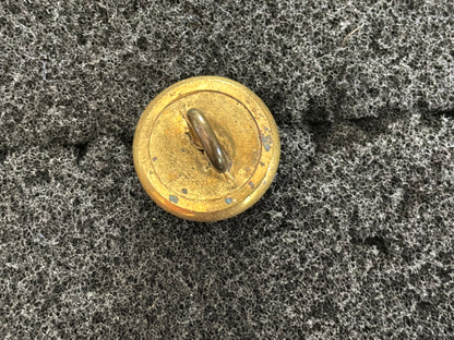 The Wiltshire Regiment officers 2 part 12mm hat button