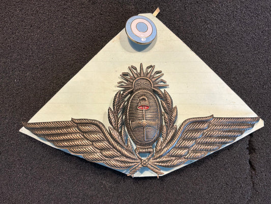 1980s Argentinian Air Force cap badge