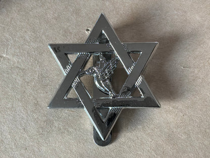 Trinidad & Tobago Police cap badge, current issue.