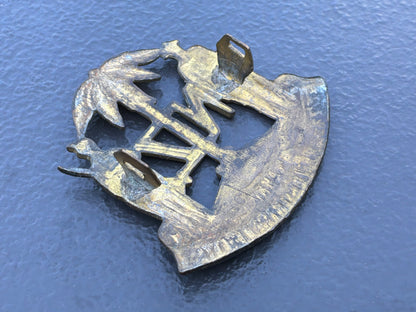 WWI New Zealand 23rd Reinforcements cap badge.