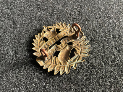 New Zealand WW2 era NZ Dental Corps Cap Badge