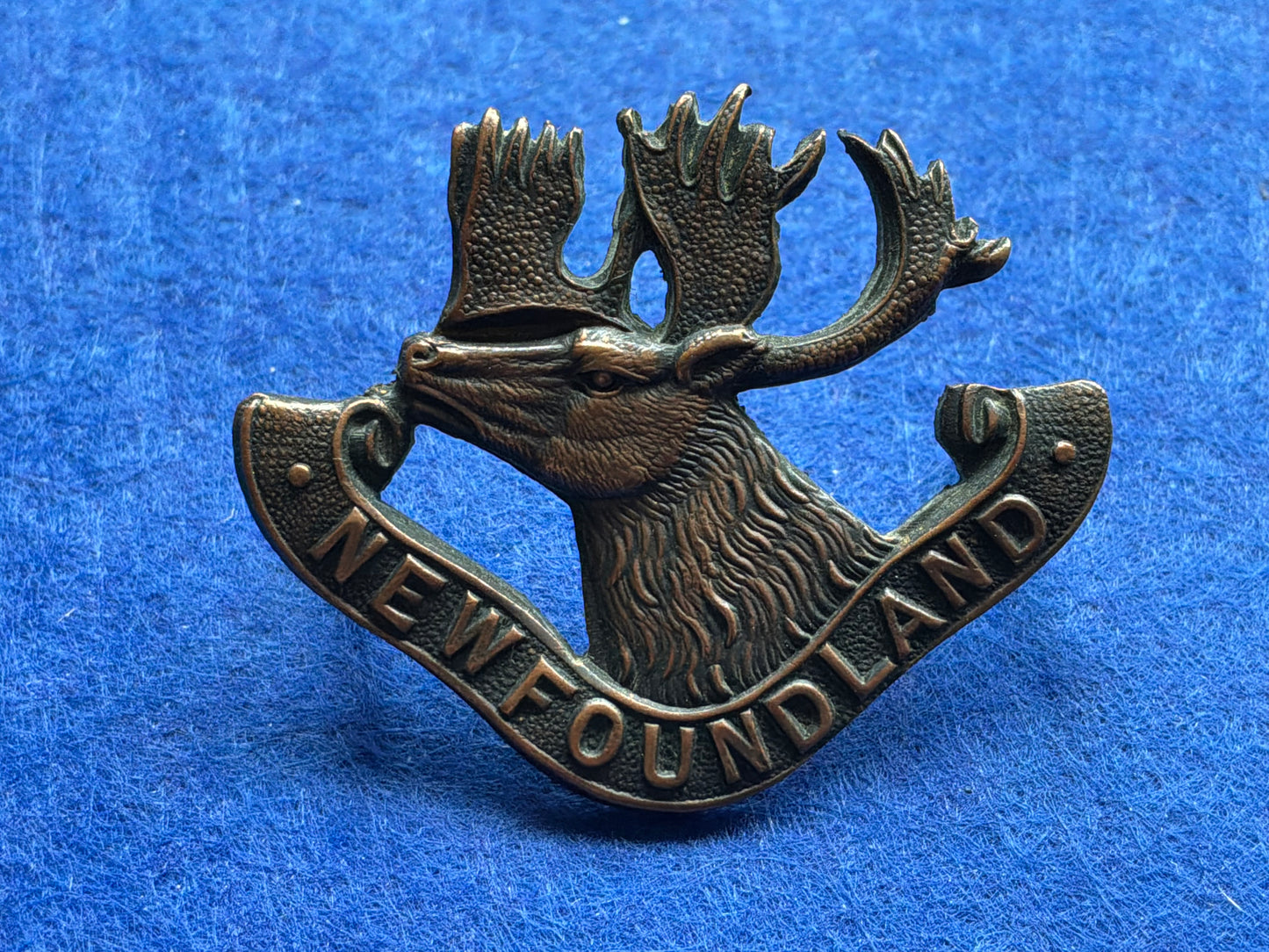 WW1 Newfoundland Regiment bronzed cap badge