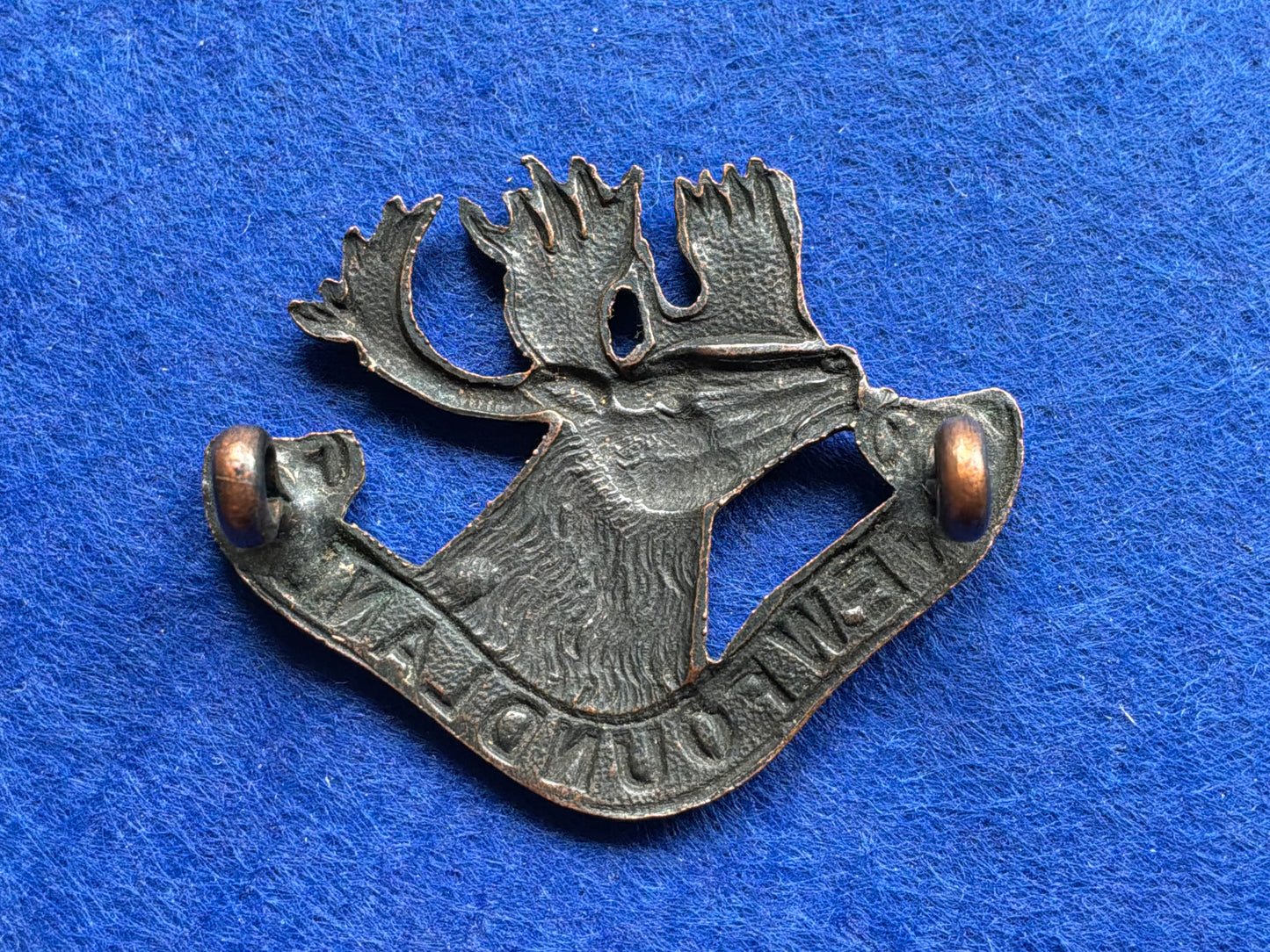 WW1 Newfoundland Regiment bronzed cap badge