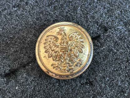 WW2 Free Polish senior officers gilt 18 mm hat button .
