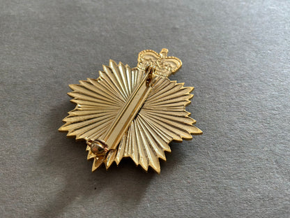 Jamaica Defence Force bi/metal cap badge with brooch back fixing.