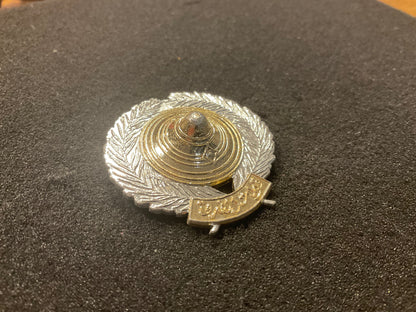 rqat Force (Special Forces) anodised cap badge