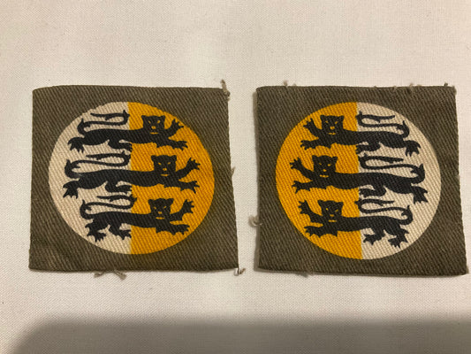 WW2 Dorset County Division printed formation signs, matching facing pair.