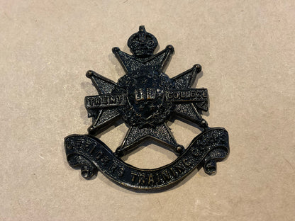 Trent College Officers Training Corps (OTC) cap badge.