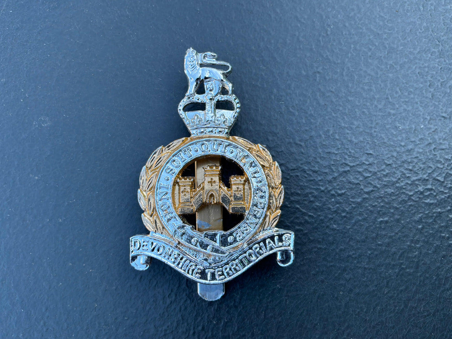 The Devonshire Territorials
- Gold And Silver Anodised Cap
Badge