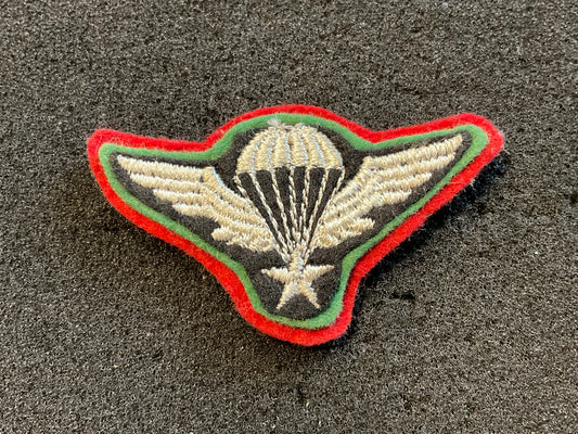 Shah of Irans era parachute qualified wings. Unsure if they are Police or military.