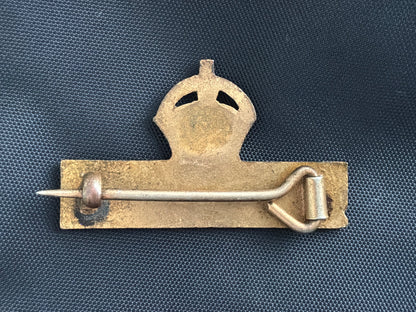Territorial Force Imperial Service Badge (Gilded metal example ? )