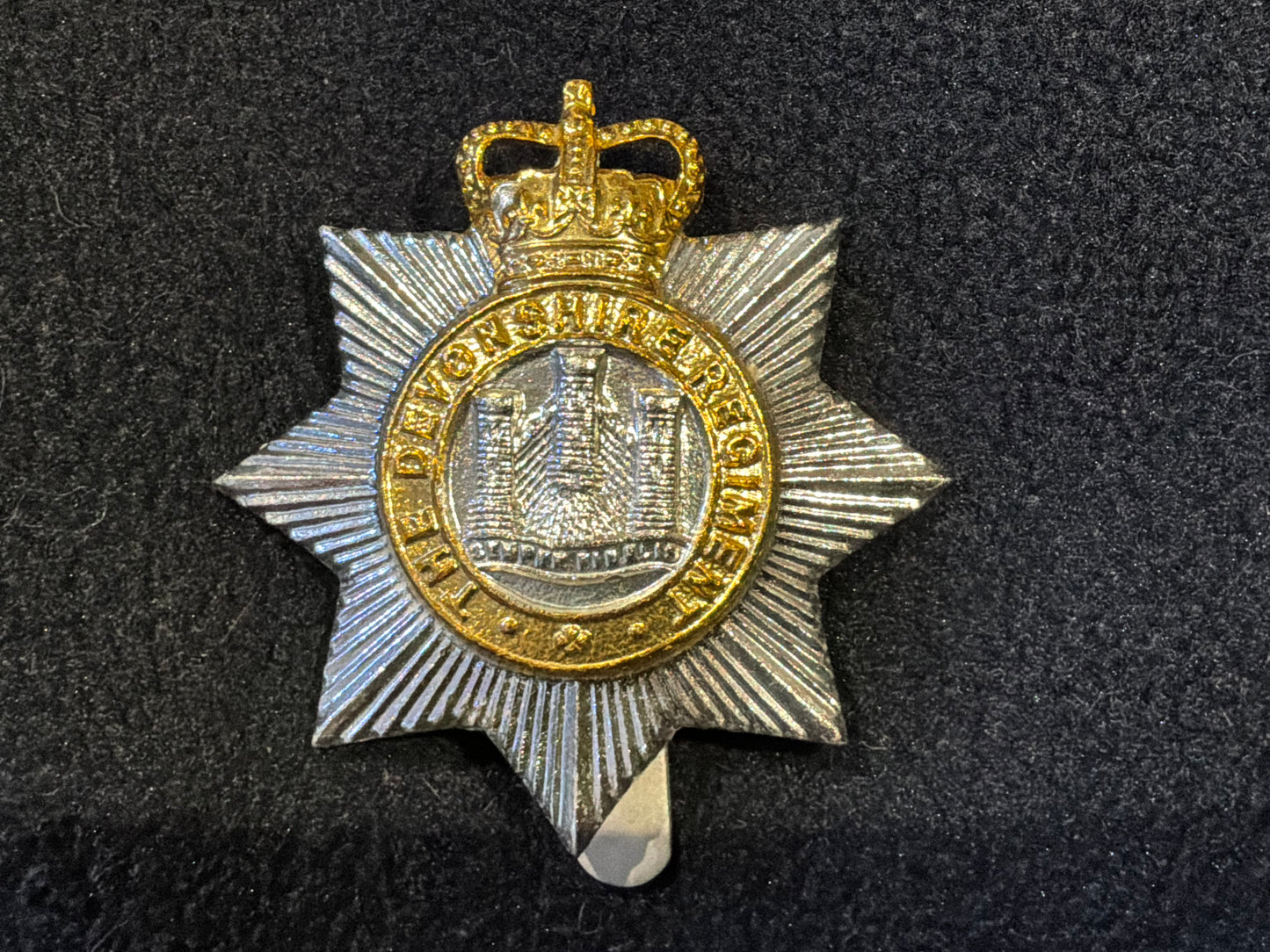 Anodised The Devonshire Regiment, gold & silver finish.