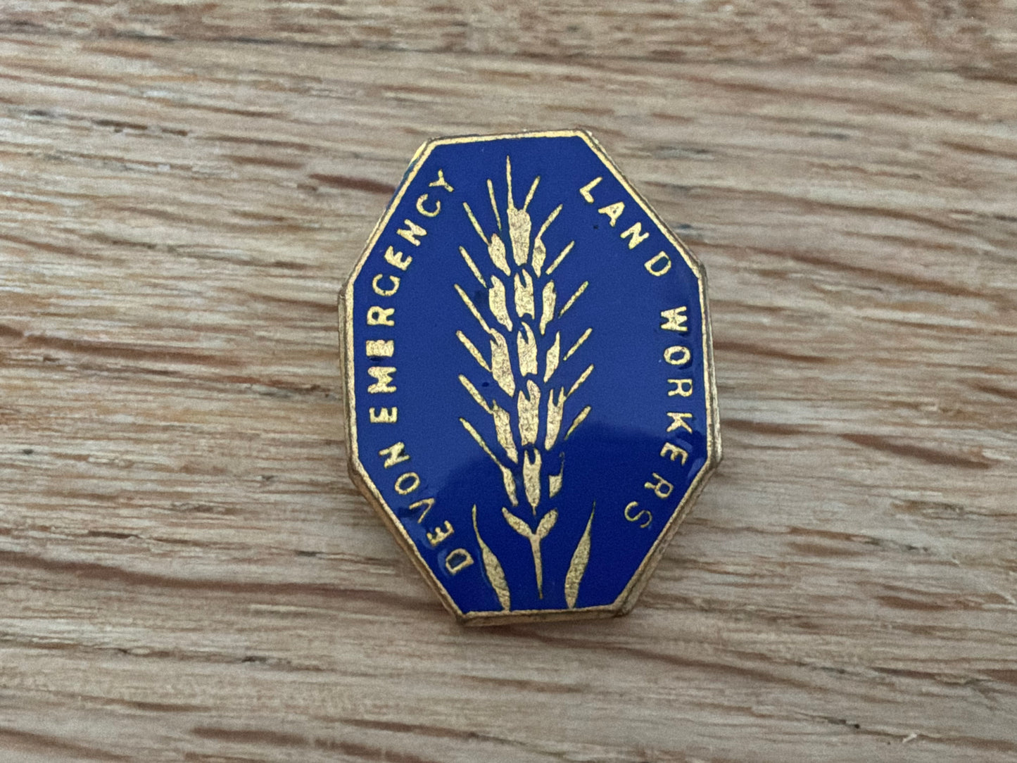 Rare WW2 Devon Emergency Land Workers lapel badge.