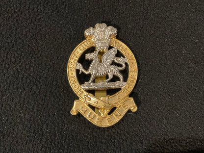 The Queens Regiment, early anodised cap badge with riveted brass slider