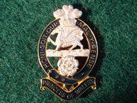 The Princess of Wales's Royal Regiment Soldiers b/m Cap Badge  