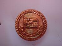 James Westoll (Sunderland) Shipping Line Gilt Button