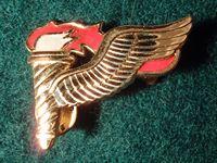 U.S Pathfinders Breast Wing