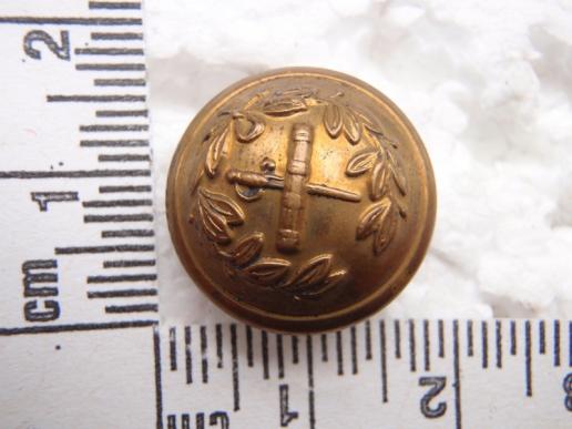 Gilt Generals Button