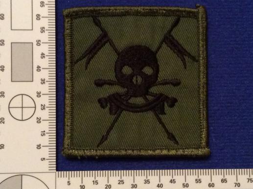 The Queens Royal LancersTRF badge worn in Iraq 