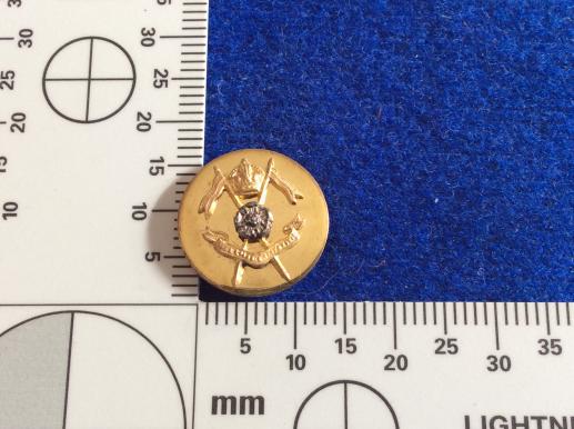 1sr Duke Of York’s Own Skinner’s Horse Silver/ Gilt Button 