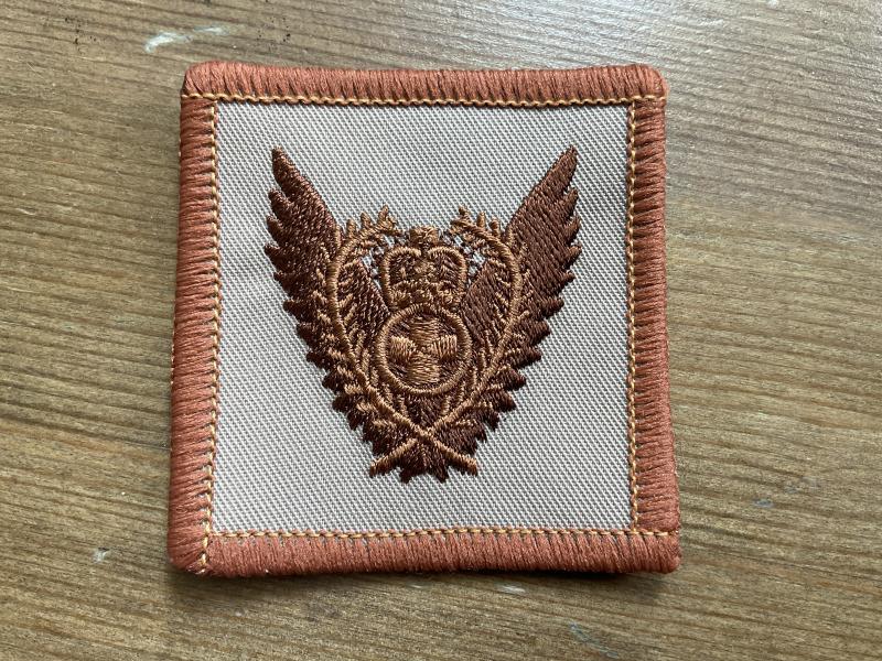 R.A.F PMRAFNS Desert pattern flight suit badge