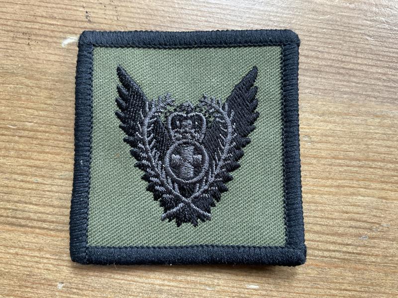 R.A.F PMRAFNS Aeromedic Nurses flight suit badge