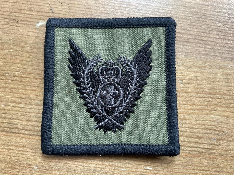 R.A.F PMRAFNS Aeromedic Nurses flight suit badge