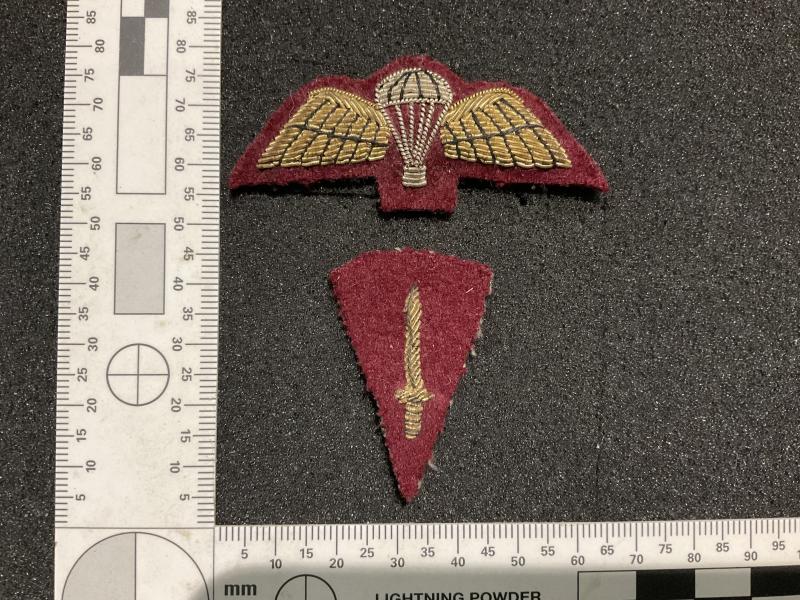 Parachute Regiment bullion Para wings & Commando trained