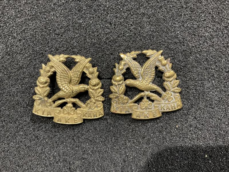 WW1 14th (South Otogo Rifles) Regiment collars