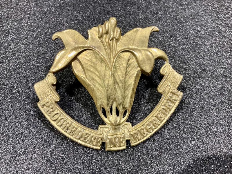 Canadian The Assiniboia Regt (Saskatchewan) cap badge